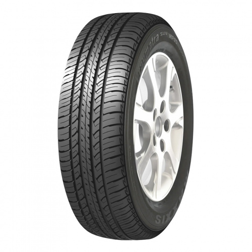 Шина Maxxis R17 225/60 99V MP15 Praqmatra