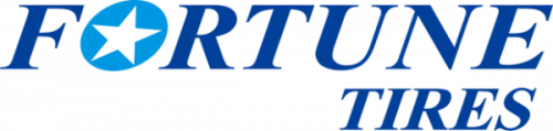 Шина Fortune R17 225/65 102T FSR-303